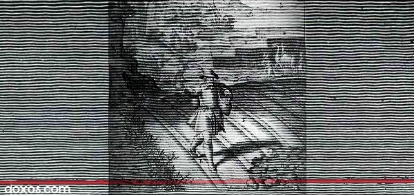 Seeds and Earthlings